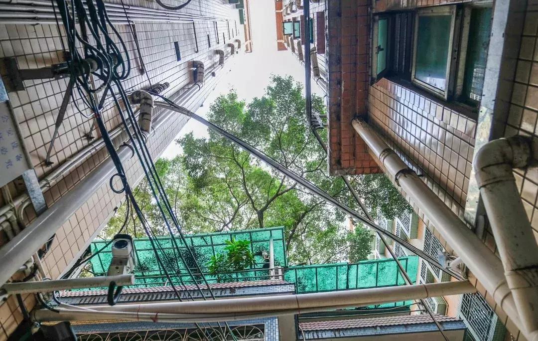 笋岗,不说再见!