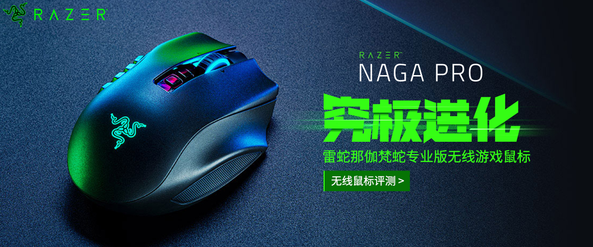 雷蛇那伽梵蛇鼠标宏,雷蛇那伽梵蛇专业版怎么装电脑上