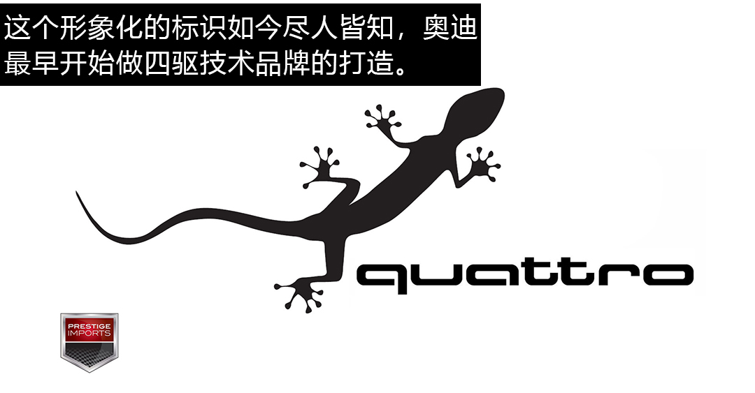 被吹上天的奥迪Quattro，真相到底是咋样？