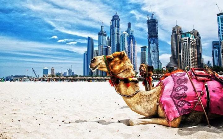 去迪拜旅游需要花多少钱,去迪拜旅游需要准备多少钱