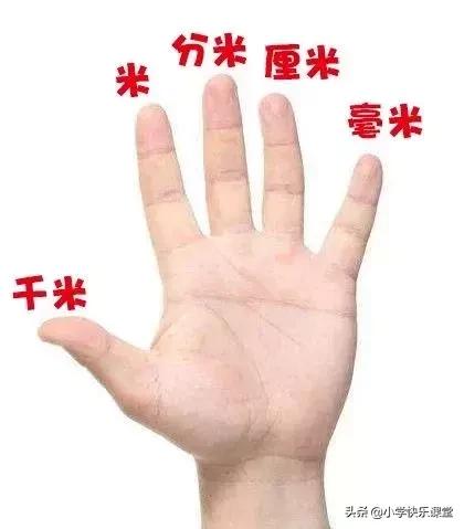 小学数学常用公式大全单位换算表,小学数学单位换算公式大全表格式