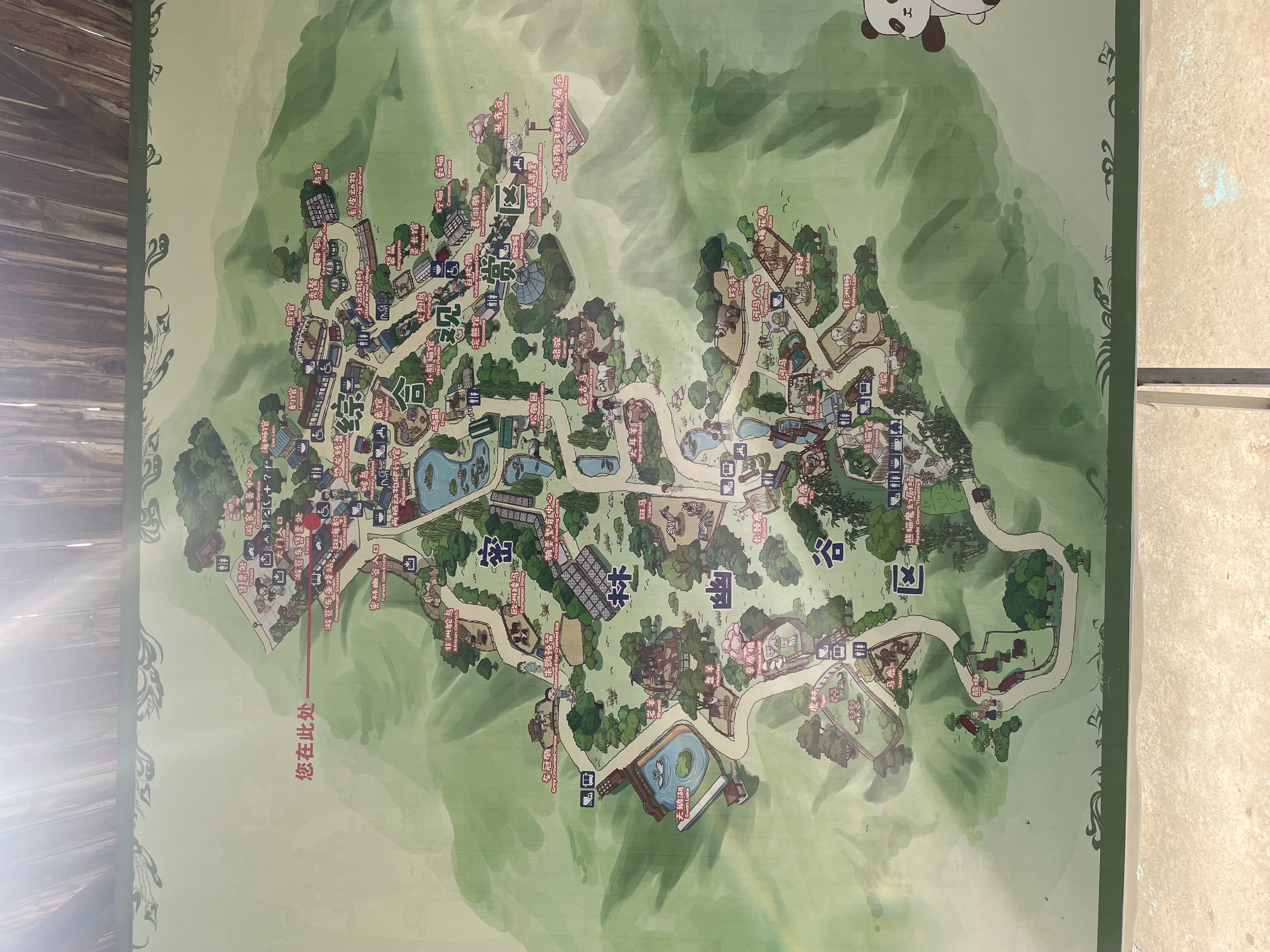 沈阳森林动物园春游,五一小长假去沈阳森林动物园游玩