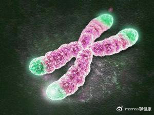 口服胶原蛋白真的有用吗,口服胶原蛋白的效果及可行性研究