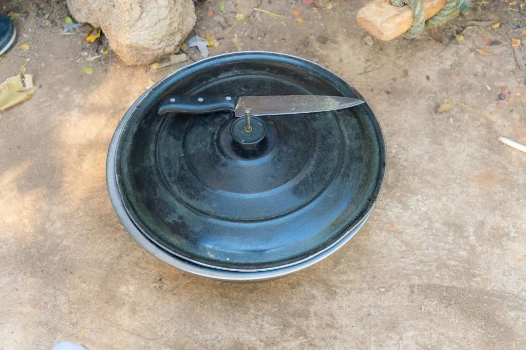 土蜂蜜的取蜜全过程,土蜂蜜取蜜全过程记录