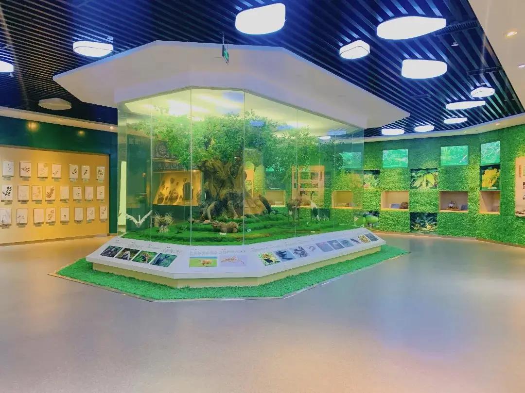 爱上哈尔滨的n个理由,爱上呼市的n个理由