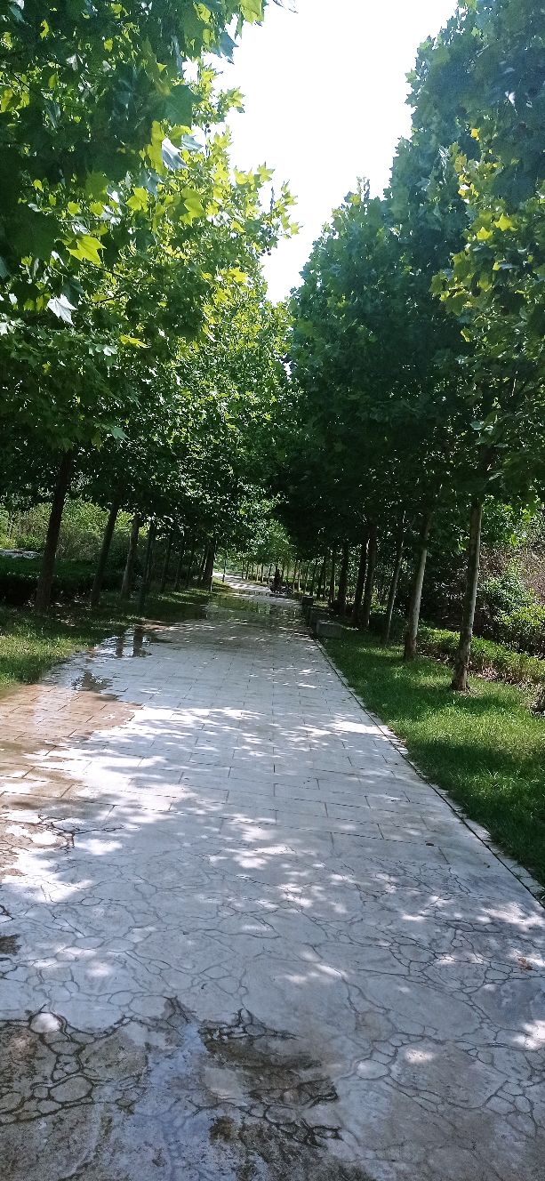 咳血怎么办小妙招,咳血是大病的前兆吗