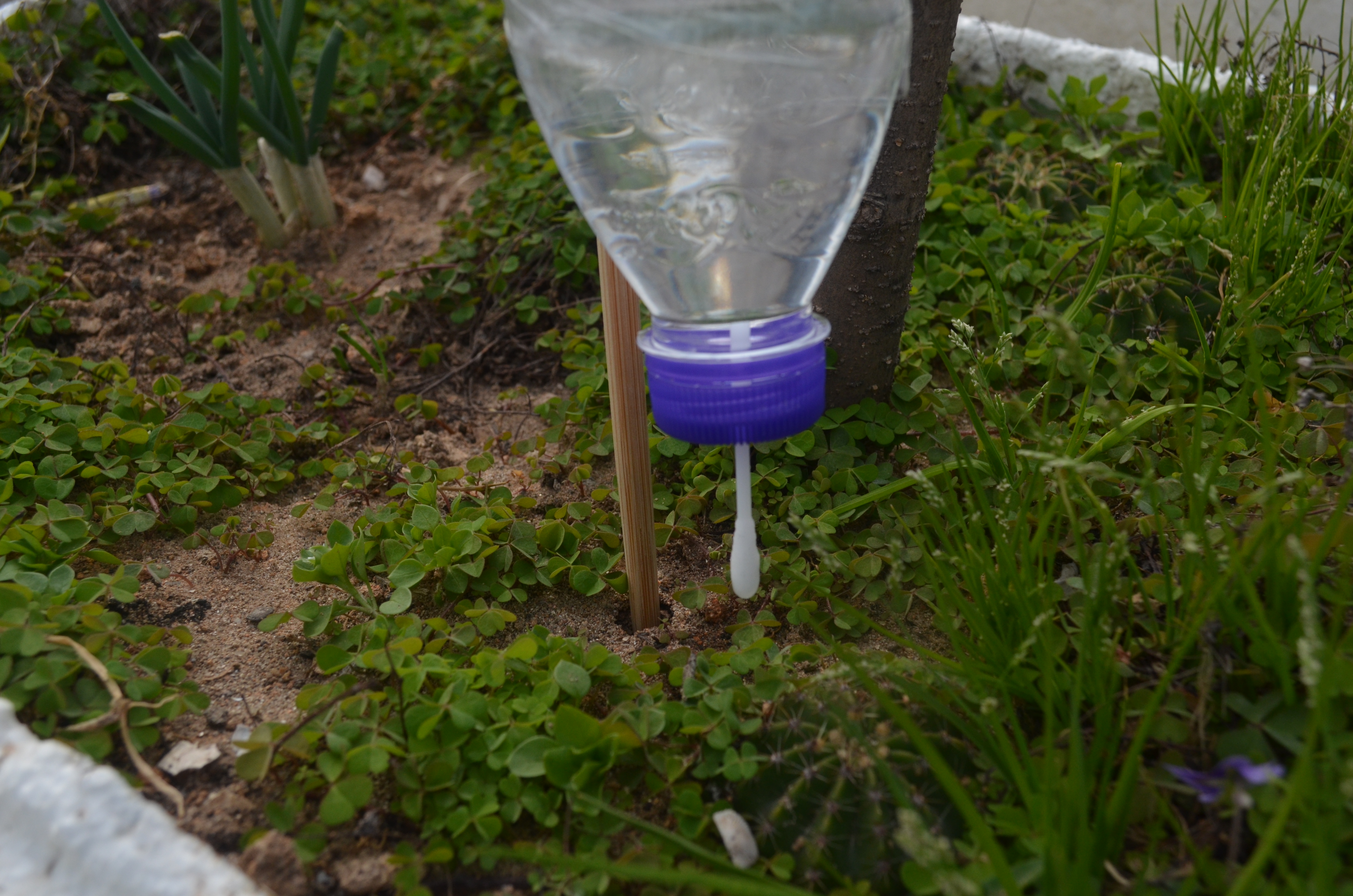 生活小妙招做自动浇水神器,制作自动浇水神器可以浇一个星期