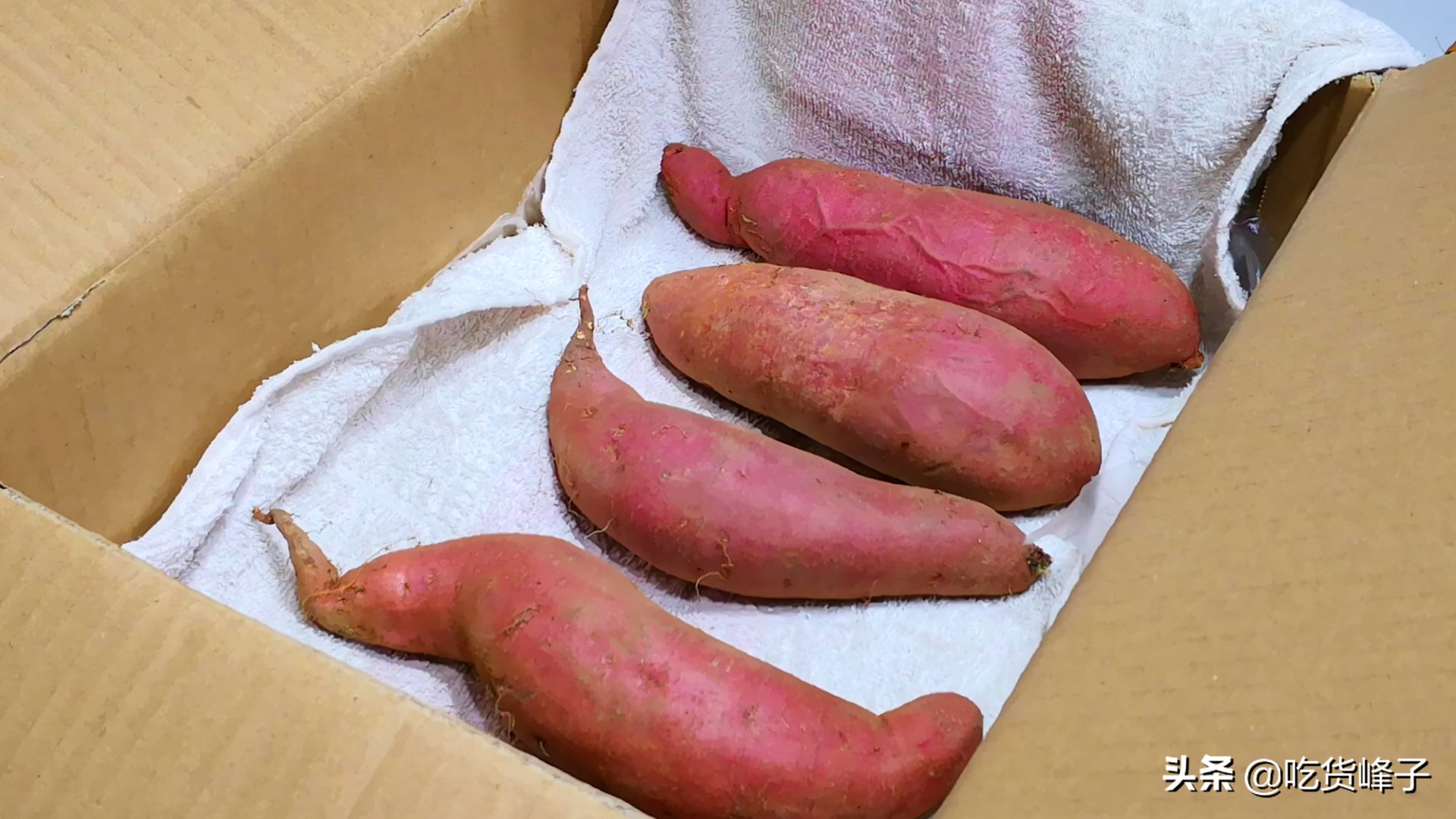 红薯如何保存才不会烂不会发芽,自家种的红薯太多了怎么保存过冬