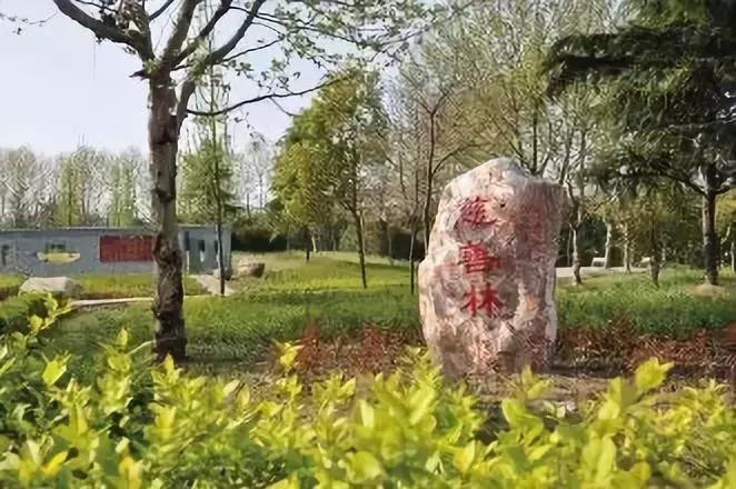 西来镇推进校企深度合作