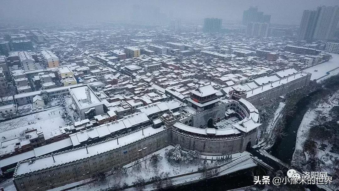 向洛阳人发出邀请国潮盛宴来袭,洛阳发布通知