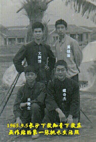 难以释怀的知青情结,60年代的知青情结