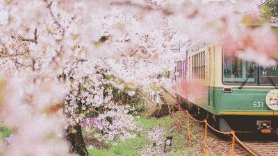 坐火车就可以出国沿途风景美爆了,坐哪些火车可以出国看风景又好玩