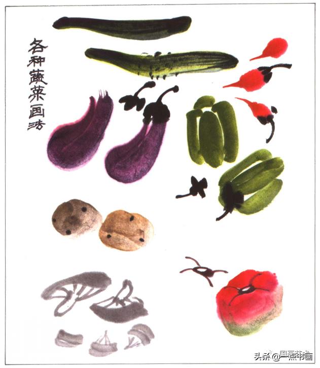 写意蔬果用铅笔怎么画,写意蔬果掌握教学重点的方法