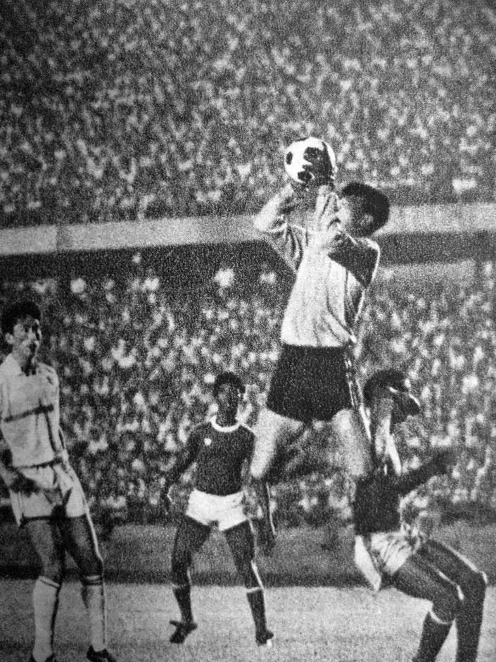 一张照片引起的回忆,一张照片引起的回忆作文