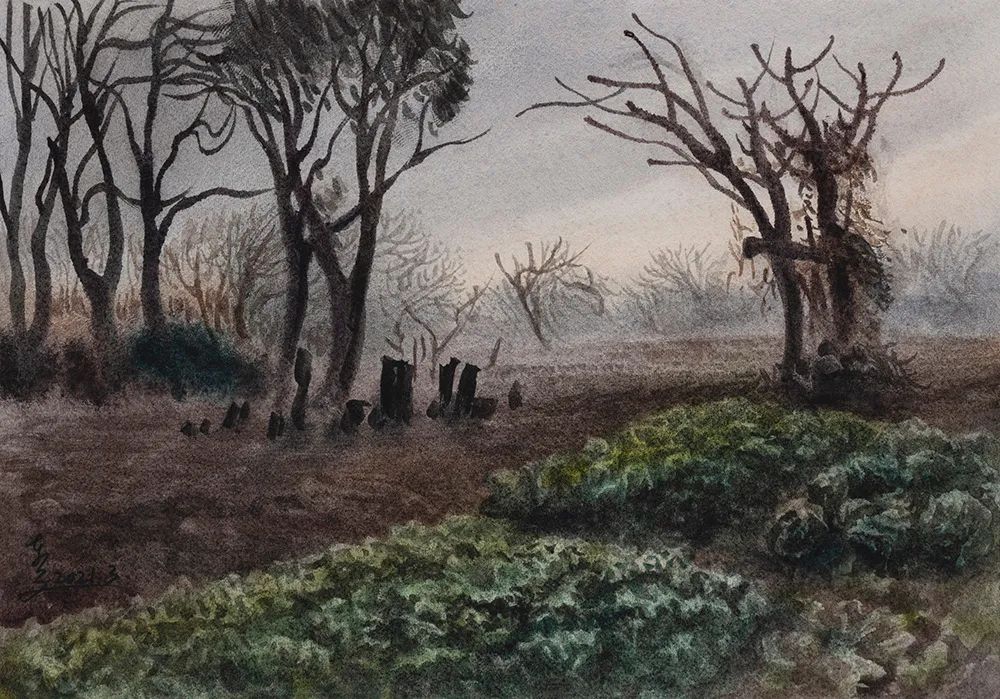 阿文绘画工作室,阿文流体画荷花