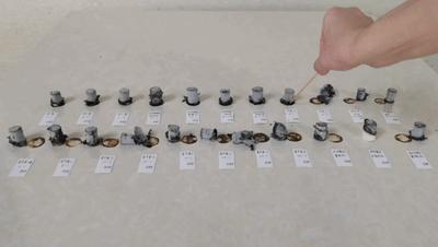 怎么分真假蕲艾,蕲艾的真假辨别