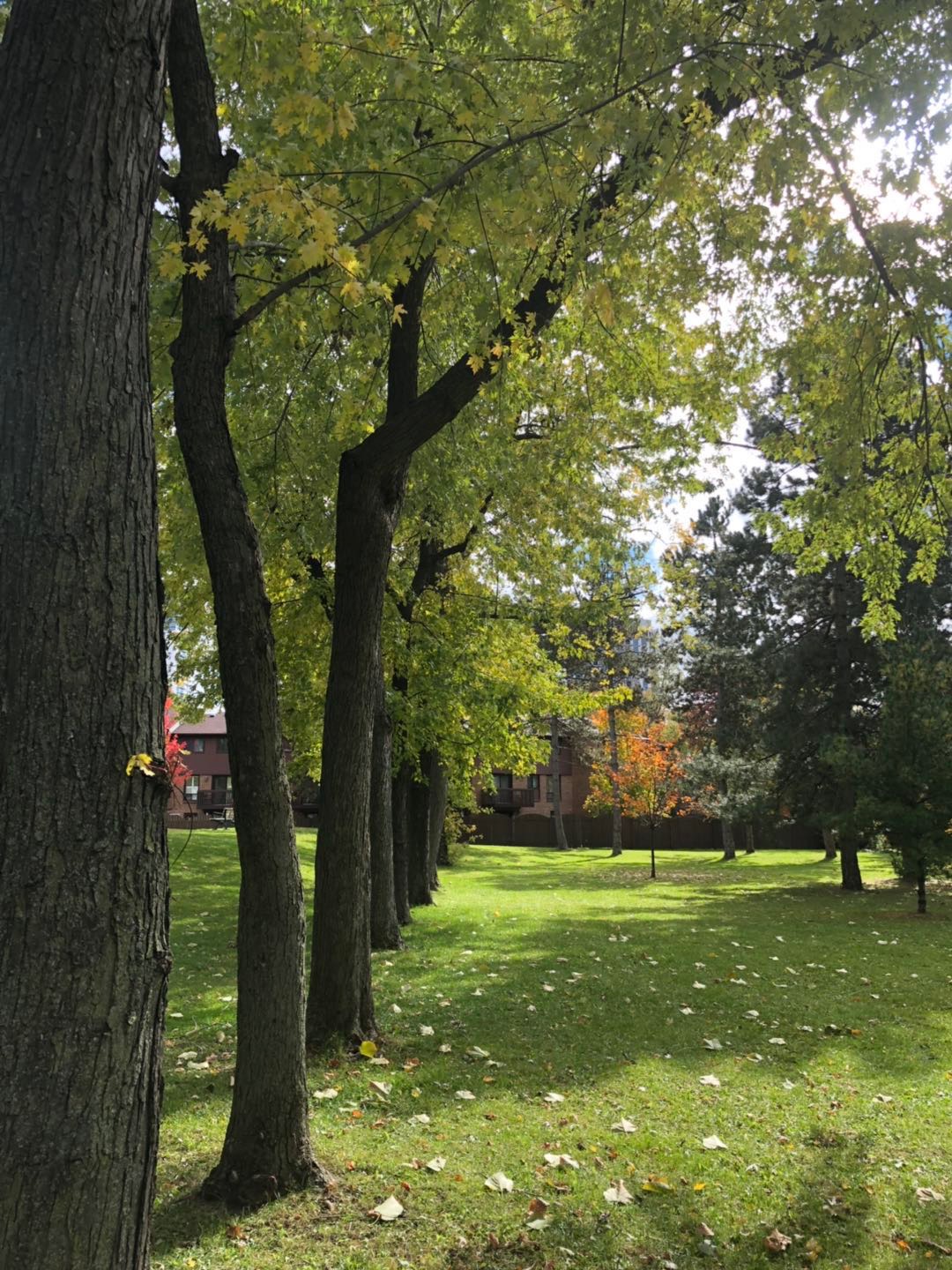 想去加拿大留学找哪个中介可靠,去加拿大留学中介费用一般是多少