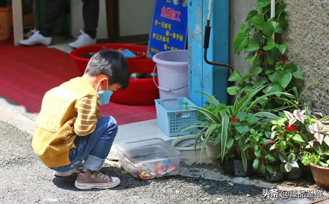 厦门人听不懂闽南话怎么办,你是厦门人闽南话怎么说