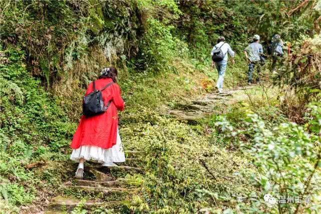 悬崖栈道景区游览图,旅游绝壁栈道探险