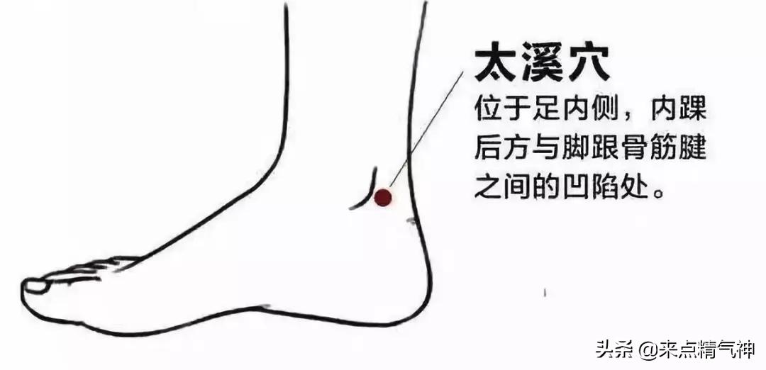 养肾穴位示意图,养肾大穴