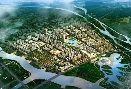 高度国际天津分公司,高度国际青岛金茂