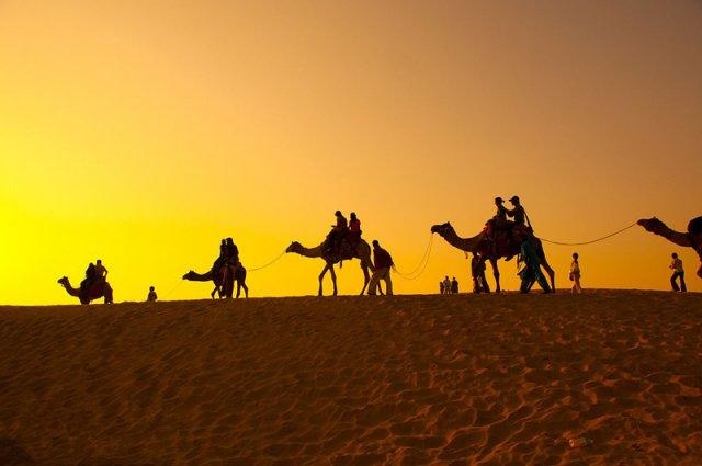 沙漠骆驼是抄袭还是解约,沙漠骆驼涉嫌抄袭