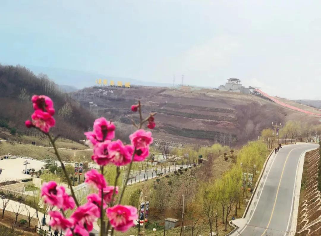 西安的春天到底有多美？我要打包送给你