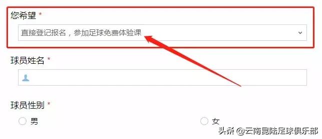 云南昆陆青少年足球训练基地,昆阳青少年足球培训班