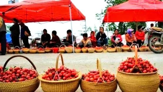 莱阳特产大全莱阳梨,莱阳特产名吃