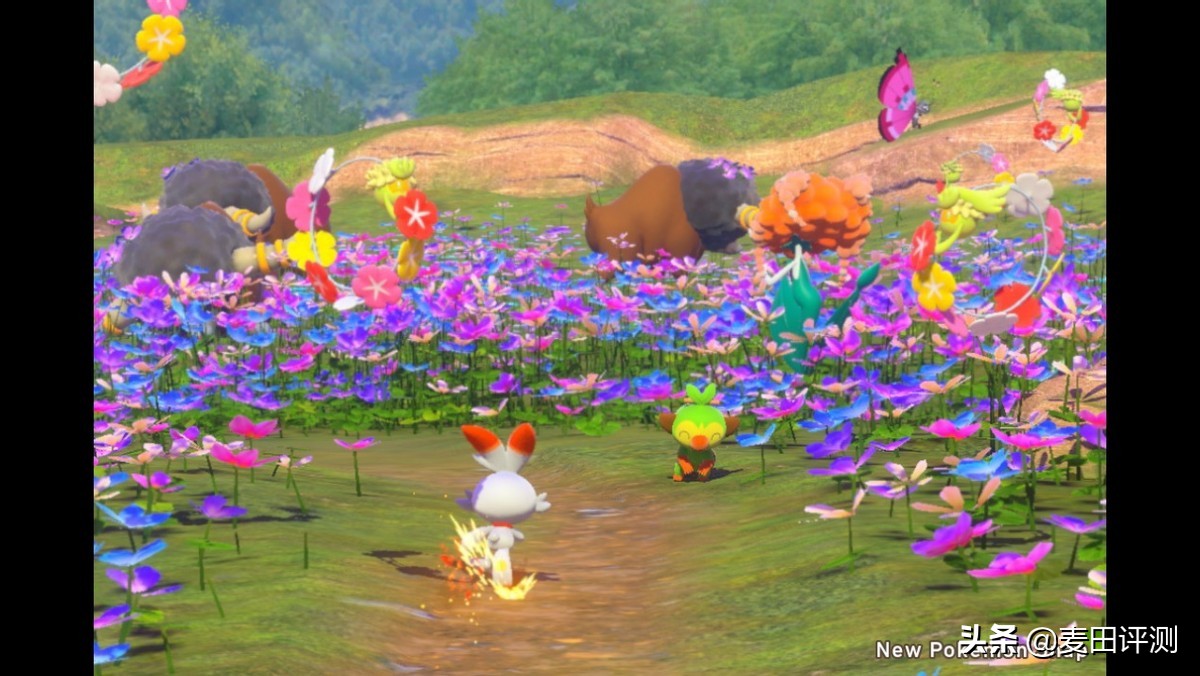 新宝可梦随乐拍switch,宝可梦随乐拍测评