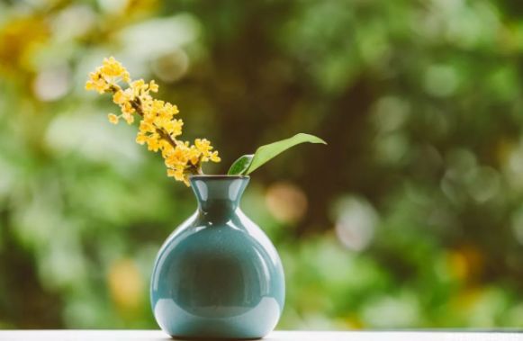 疗愈身体的神奇音乐100首完整版,疗愈身体的神奇密码