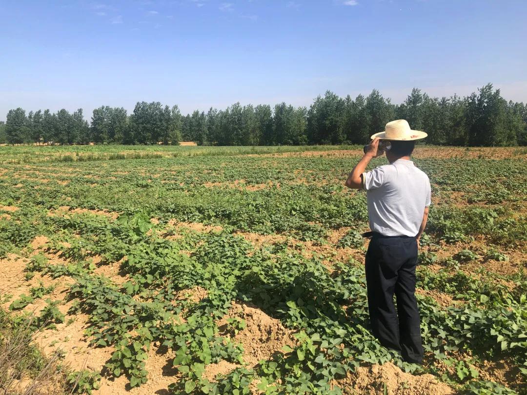 枣阳市创建乡村振兴示范县,襄州区乡村振兴扶贫工程