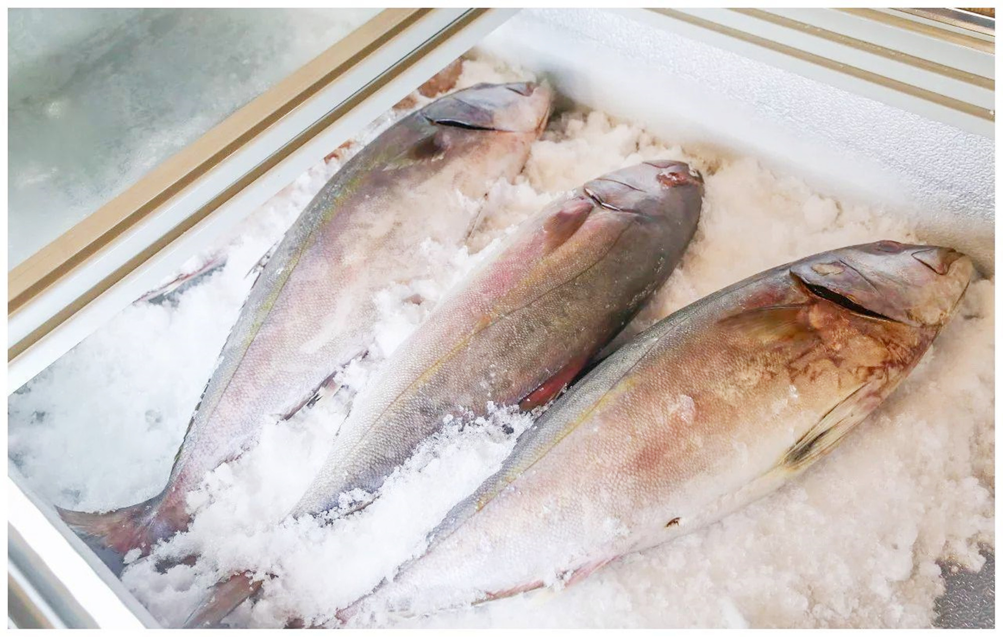 怀孕吃清淡的饮食不孕吐,怀孕期间吃东西不忌嘴有什么后果