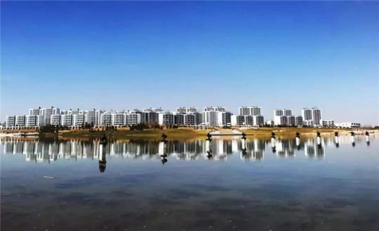 拼多多进军工业品,拼多多推出多多农园