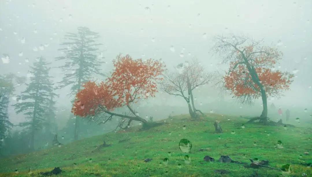 假期逛景区一大波优惠等着您,景点优惠活动视频