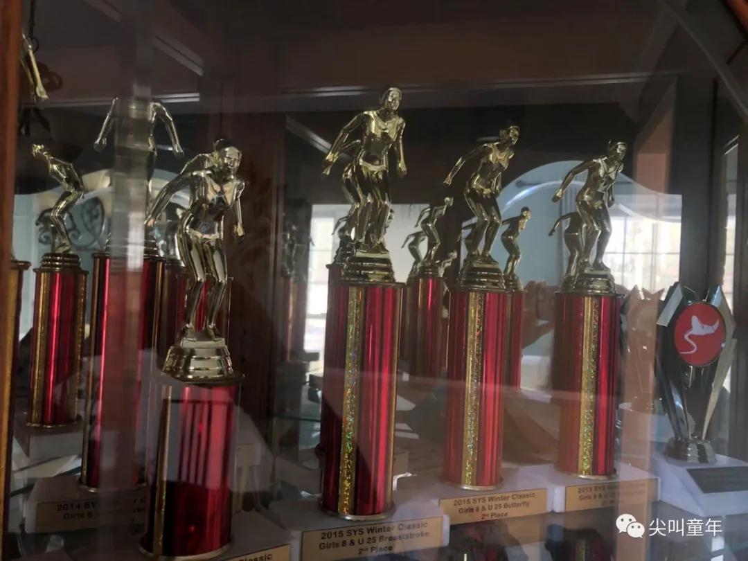 运动小达人运动时感受,运动小达人锻炼项目