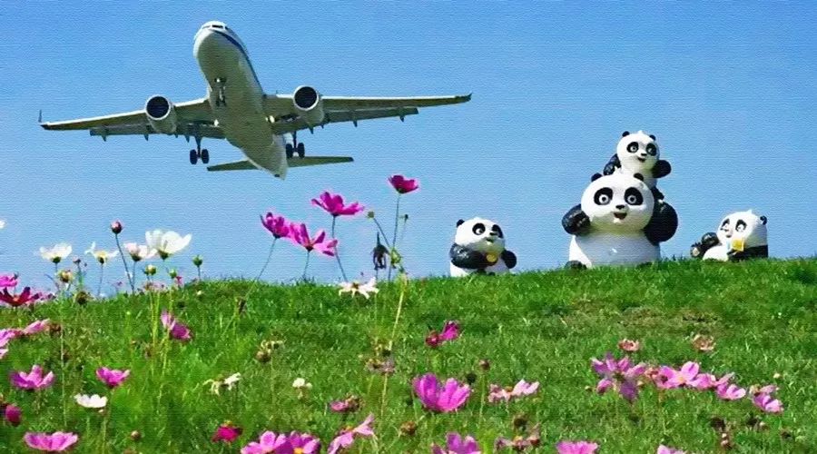 双流空港花田十月份有什么活动,双流空港花田赏花