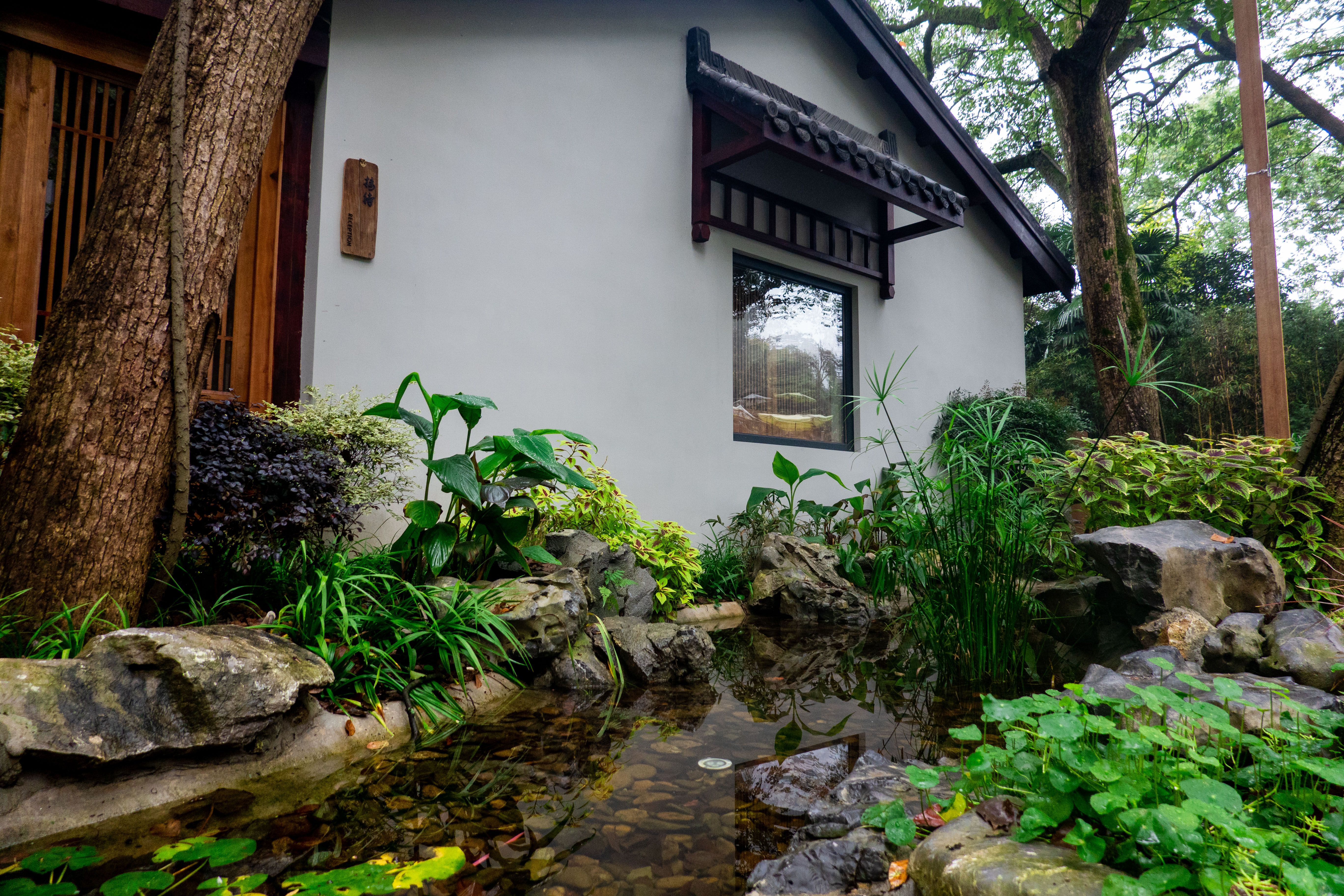 西湖十景九溪,西湖新十景之九溪十八涧