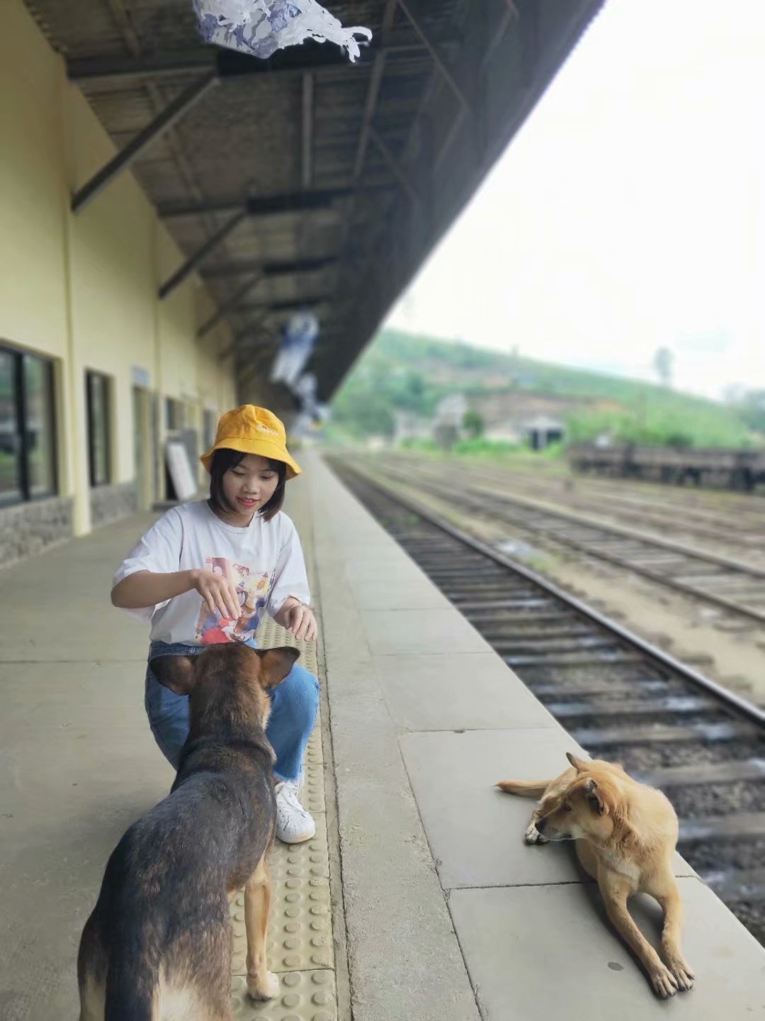 一生必去一次的神奇国度，榴莲白菜价，还有千与千寻里的海上火车