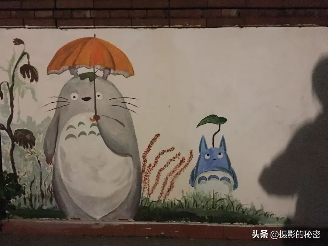 摄影专用手机推荐,摄影手机入门推荐