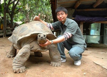 世界上最大的龟将近2000斤,世界上最大的体型的龟