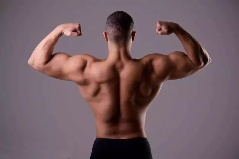 【腺体之美】荷尔蒙,你不知道的另一面