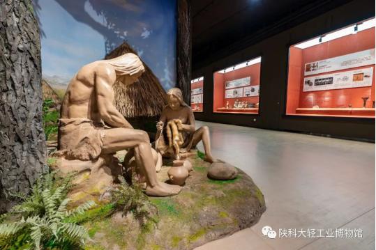陕西理工大学博物馆镇馆之宝,陕西省首座考古博物馆