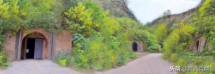 贾氏贡醋天然养生醋,贾氏贡醋什么时候喝