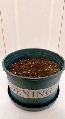 搞笑gif段子因为爱情所以共患难,搞笑gif段子小伙子你谈恋爱了吗