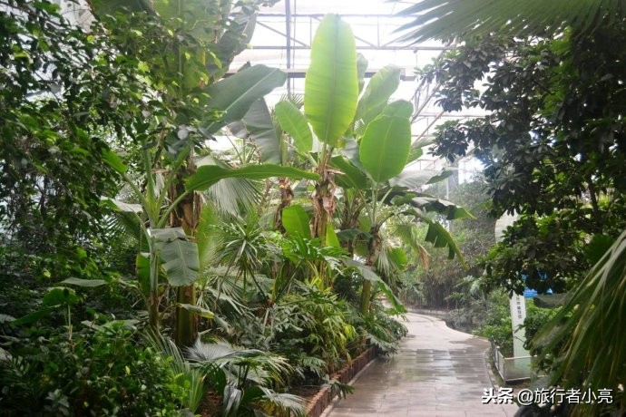 天津旅游必去十大景点推荐理由,天津旅游必去十大景点排行榜