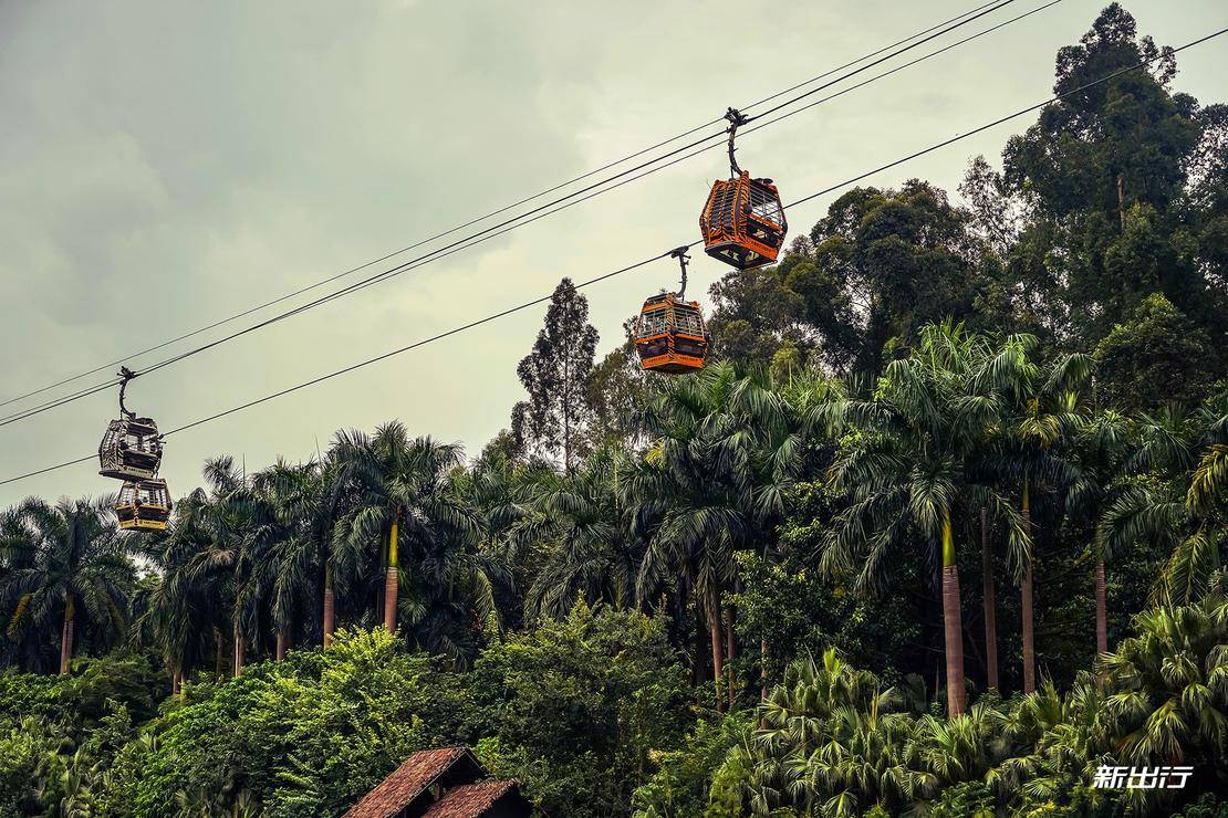 打卡长隆动物园记田妈和威马EX5520的周末