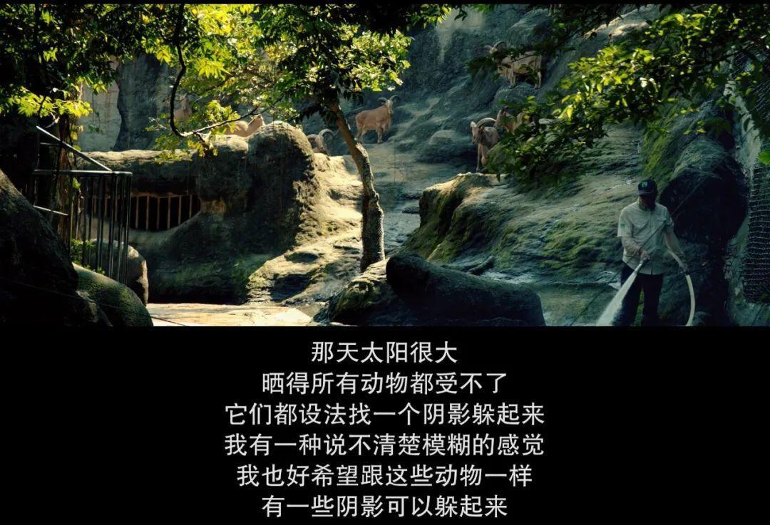 被骂渣男怎么办高情商回复,被骂渣男该怎么反击