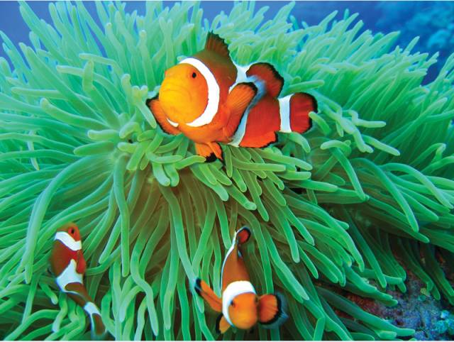 不潜水的人对潜水最大的误解,不会潜水的人去潜水