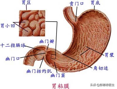食管胃动力异常,食管动力障碍吞咽困难